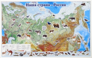 Магнитные карточки "Животные" - fgospostavki.ru - Смоленск