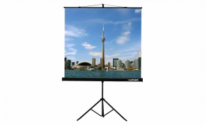 Проекционный экран на штативе Lumien Eco View (LEV-100105) 160x160 см - fgospostavki.ru - Смоленск
