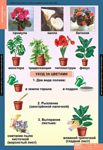 Комплект таблиц. Окружающий мир 1 класс. - fgospostavki.ru - Смоленск