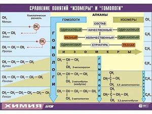 Таблица демонстрационная "Сравнение понятий изомер и гомолог" (винил 70x100) - fgospostavki.ru - Смоленск