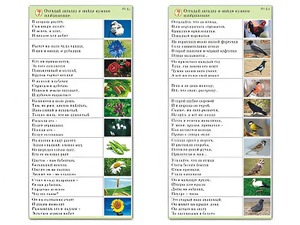 Комплект карточек (10) "Обучающий калейдоскоп. Природа" - fgospostavki.ru - Смоленск