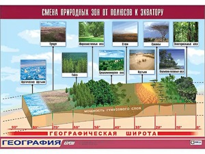 Таблица демонстрационная "Смена природных зон от полюсов к экватору" (винил 70*100) - fgospostavki.ru - Смоленск