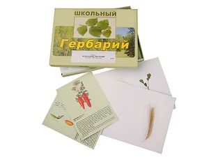 Гербарий "Культурные растения" (30 видов, с иллюстрациями) - fgospostavki.ru - Смоленск