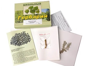 Гербарий "Водоросли. Грибы. Лишайники" (раздаточный) - fgospostavki.ru - Смоленск