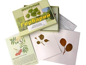 Гербарий "Систематика растений. Семейство Розоцветные" (раздаточный) - fgospostavki.ru - Смоленск