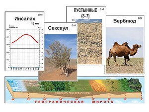 Модель-аппликация "Природные зоны" - fgospostavki.ru - Смоленск