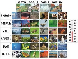 Фенологические наблюдения - fgospostavki.ru - Смоленск