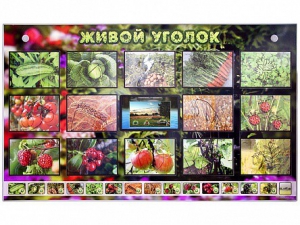 Комплект оборудования "Живой уголок" (растения) с тифлопереводом и сурдокомментариями - fgospostavki.ru - Смоленск