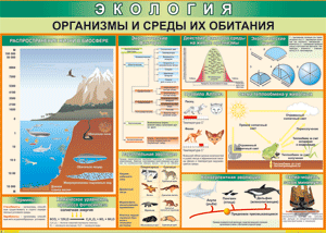 Таблица "Организмы и среды их обитания" (100х140 сантиметров, винил) - fgospostavki.ru - Смоленск