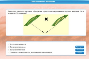 Интерактивные курсы. Биология 11 класс. Базовый. - fgospostavki.ru - Смоленск