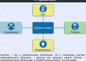 Интерактивные курсы. Биология 5 класс. Базовый - fgospostavki.ru - Смоленск