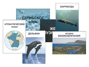 Модель-аппликация "Океаны. Знакомство" (ламинированная) - fgospostavki.ru - Смоленск