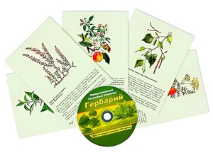 Интерактивный наглядный комплекс "Гербарий "Для начальной школы" - fgospostavki.ru - Смоленск