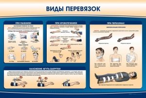Стенд "Виды перевязок" - fgospostavki.ru - Смоленск