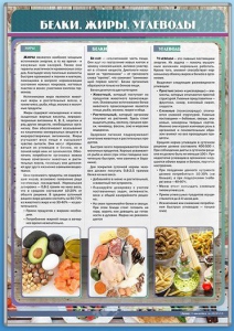 Стенд "Белки. Жиры. Углеводы" - fgospostavki.ru - Смоленск