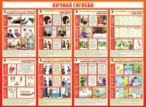 Стенд "Личная гигиена" - fgospostavki.ru - Смоленск