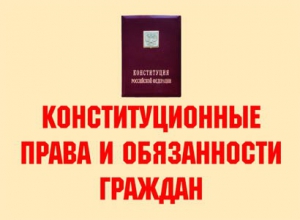 Комплект плакатов "Конституционные права и обязанности граждан" - fgospostavki.ru - Смоленск