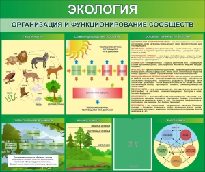 Стенд "Экология. Организация и функционирование сообществ" - fgospostavki.ru - Смоленск