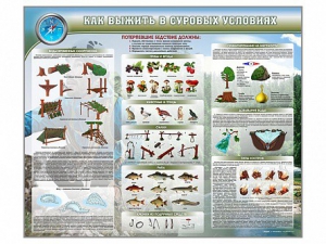 Стенд "Как выжить в суровых условиях" - fgospostavki.ru - Смоленск