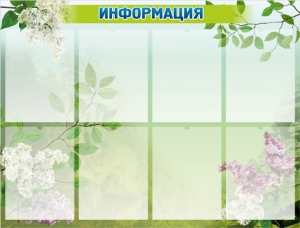 Стенд "Информация" Вариант 13 - fgospostavki.ru - Смоленск