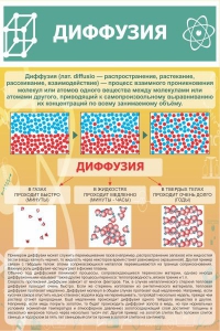 Стенд "Диффузия" - fgospostavki.ru - Смоленск