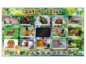 Комплект оборудования "Живой уголок" (животные) - fgospostavki.ru - Смоленск