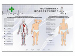 Электрифицированный стенд "Остановка кровотечения" - fgospostavki.ru - Смоленск
