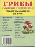 Раздаточные карточки "Грибы съедобные и не съедобные" - fgospostavki.ru - Смоленск