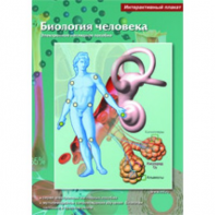 Интерактивные плакаты. Биология человека. Программно-методический комплекс - fgospostavki.ru - Смоленск