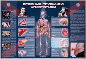 Электрифицированный стенд "Вредные привычки: алкоголизм" - fgospostavki.ru - Смоленск