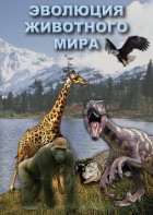 DVD "Эволюция животного мира" - fgospostavki.ru - Смоленск
