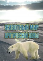 DVD "Животный мир Арктической зоны" - fgospostavki.ru - Смоленск