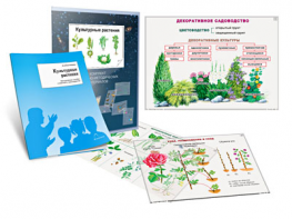 Комплект кодотранспарантов "Культурные растения" - fgospostavki.ru - Смоленск