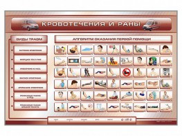 Трехсекционный базовый комплект "Травмы. Кровотечения. Ожоги" для учащихся общеобразовательных учреждений - fgospostavki.ru - Смоленск