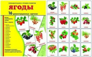 Демонстрационные карточки "Ягоды" - fgospostavki.ru - Смоленск