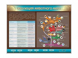 Интерактивный электрифицированный стенд "Эволюция животного мира" - fgospostavki.ru - Смоленск