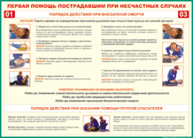Таблица "Порядок действий при внезапной смерти" (100х140 сантиметров, винил) - fgospostavki.ru - Смоленск