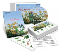 Комбинированное наглядное пособие «Растения» - fgospostavki.ru - Смоленск
