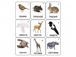 Набор магнитных карточек по музыке "Животные" (9 штук) - fgospostavki.ru - Смоленск