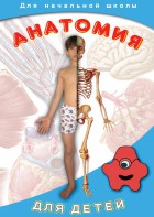 DVD "Анатомия для детей" - fgospostavki.ru - Смоленск