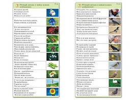Комплект карточек (10) "Обучающий калейдоскоп. Природа" - fgospostavki.ru - Смоленск