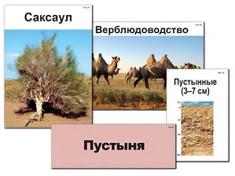 Модель-аппликация "Природные зоны России" (ламинированная) - fgospostavki.ru - Смоленск