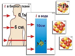 Модель-аппликация "Явление радиоактивности" (ламинированная) - fgospostavki.ru - Смоленск