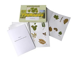 Гербарий "Морфология растений" (6 тем, 30 видов) - fgospostavki.ru - Смоленск