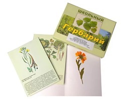 Гербарий "Систематика растений. Семейство Пасленовые. Крестоцветные. Сложноцветные" (раздаточный) - fgospostavki.ru - Смоленск