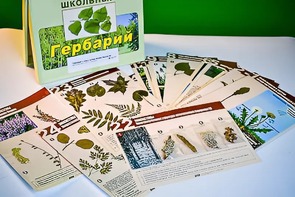 Гербарий к курсу основ общей биологии - fgospostavki.ru - Смоленск