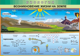 Таблица "Возникновение жизни на земле" (100х140 сантиметров, винил) - fgospostavki.ru - Смоленск