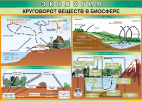 Таблица "Круговорот веществ в биосфере" (100х140 сантиметров, винил) - fgospostavki.ru - Смоленск