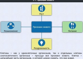 Интерактивные курсы. Биология 5 класс. Базовый - fgospostavki.ru - Смоленск