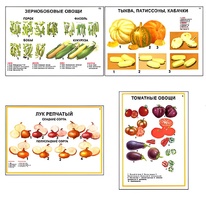 Плакаты ПРОФТЕХ "Ассортимент овощных культур" (12 пл, винил, 70х100) - fgospostavki.ru - Смоленск